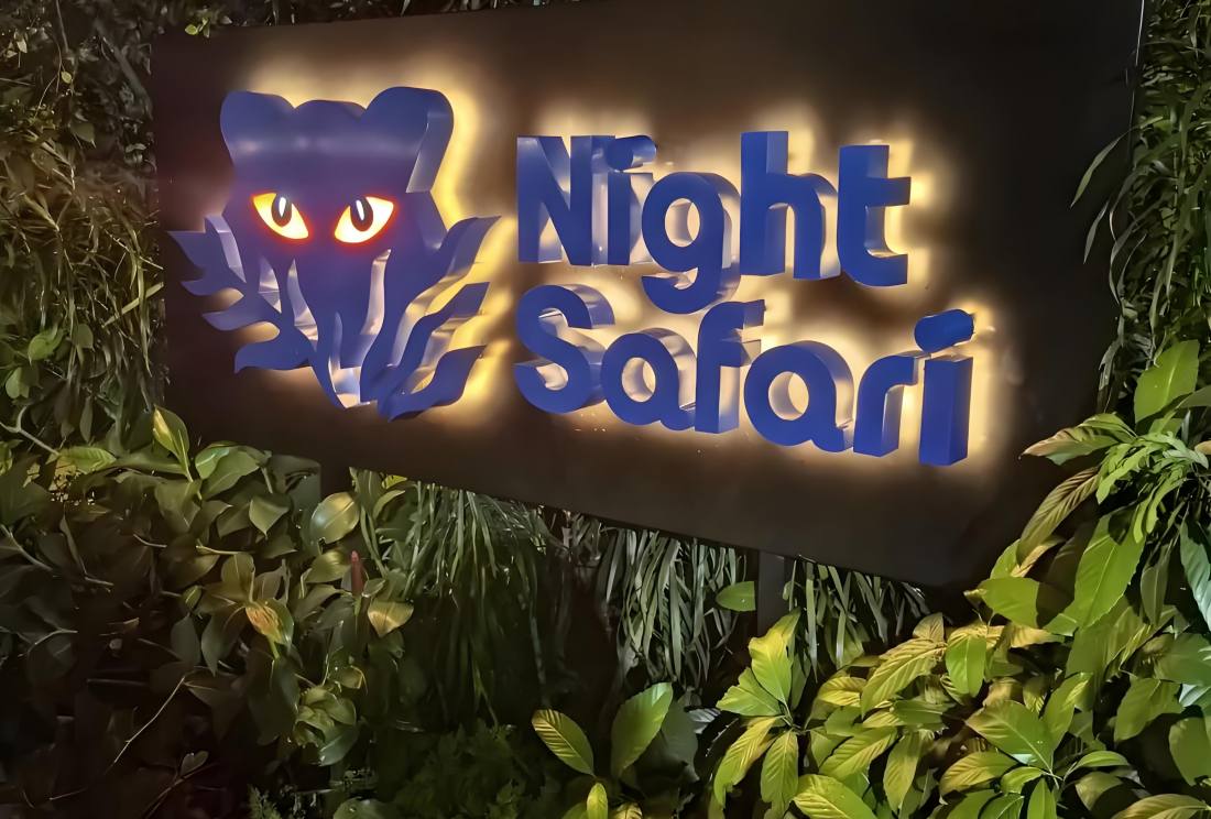 夜间动物园