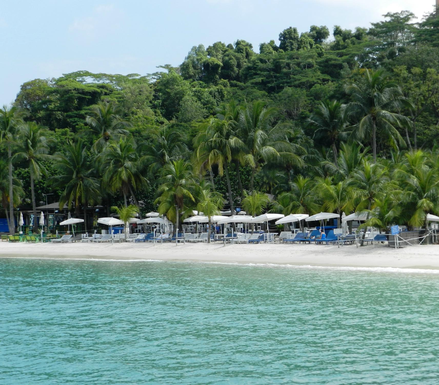 0HJ5i12000h00a8edBCDB