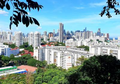 导览节奏的差异，为什么会让同一趟新加坡旅行完全不同？